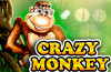 Crazy Monkey